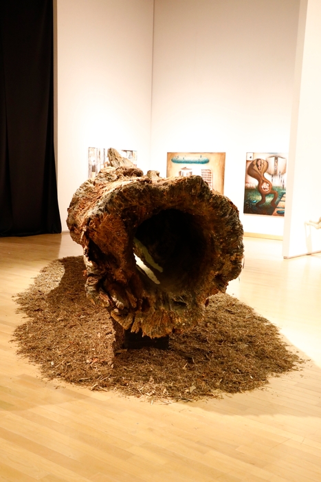 藤原 千也「太陽のふね」