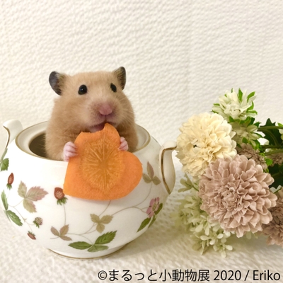 展示作品1