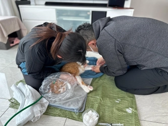 ペットの「終末期医療」という考え方を常識に　 動物関連事業者様を対象とした協力パートナー制度 「わんにゃん応援団」の加入事業者様募集を開始します