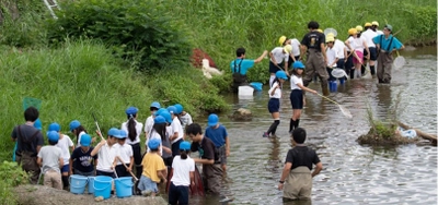 近畿大学農学部生が小学生127名と富雄川の生物・水質を合同調査　身近な自然と自分たちの暮らしの関係を考えるきっかけに