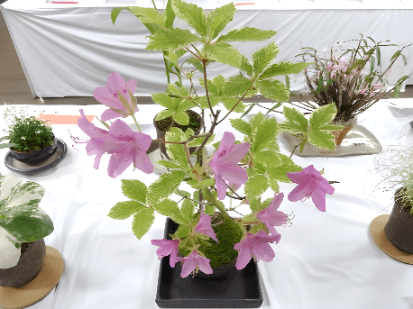 展示品の一例(過去開催時)