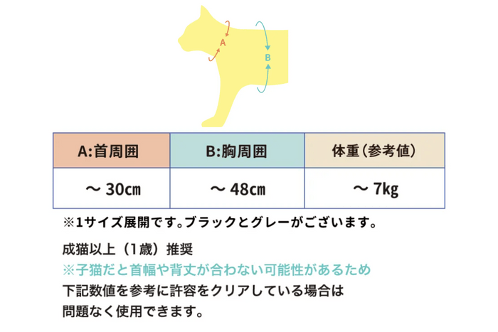 サイズ基準