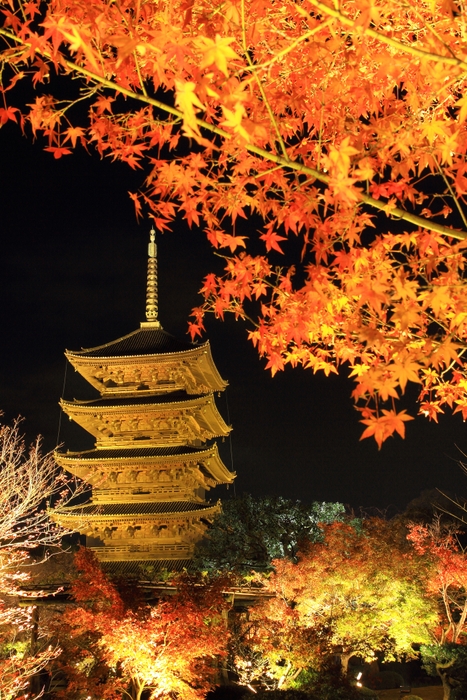 東寺(夜間ライトアップ)　イメージ