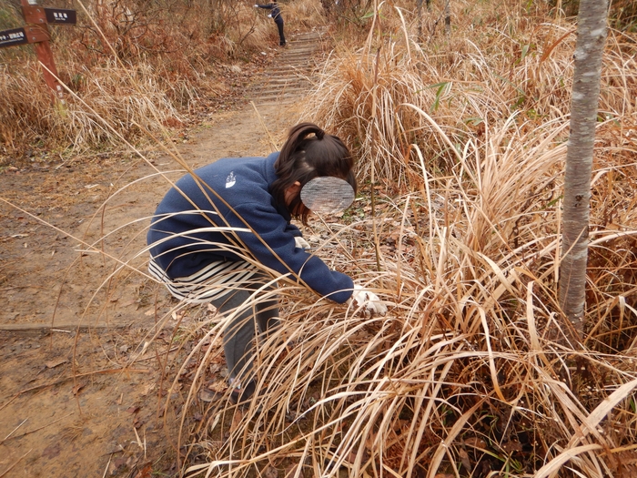 まずは材料集めから