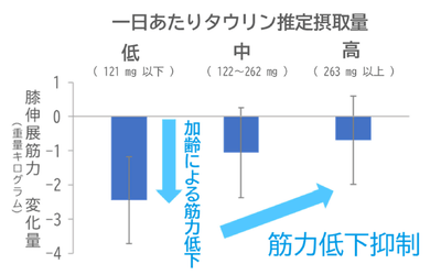 図3 65歳以上(238人)の膝伸展筋力変化量