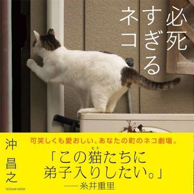 『必死すぎるネコ』表紙イメージ