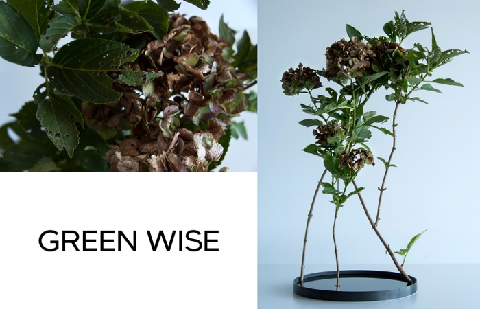 GREEN WISE