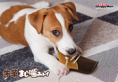 牛革まじ噛みトイ 使用イメージ