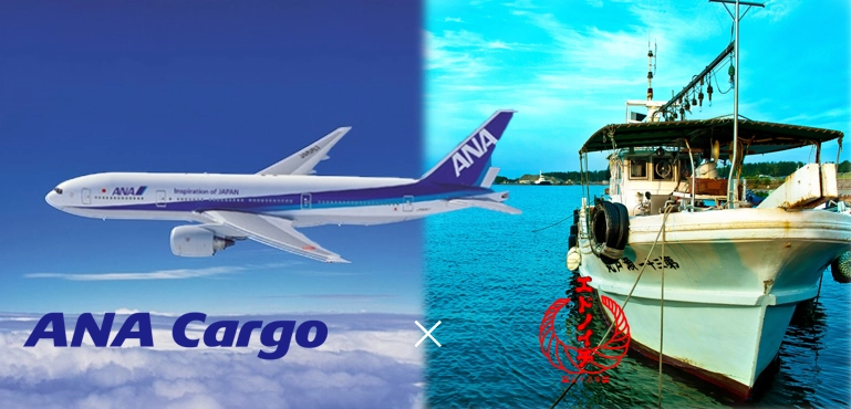 株式会社ANA Cargoと株式会社3rdcompassが業務提携　 商流拡大及び生鮮品を当日配送できるサービスを目指す
