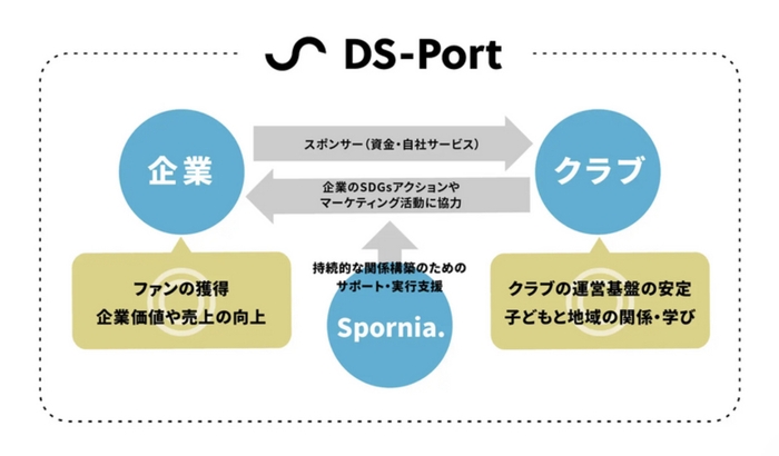 DS-Port