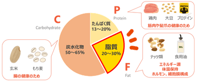 ダイエット中こそ押さえておきたい 「PFCバランス」 とは？