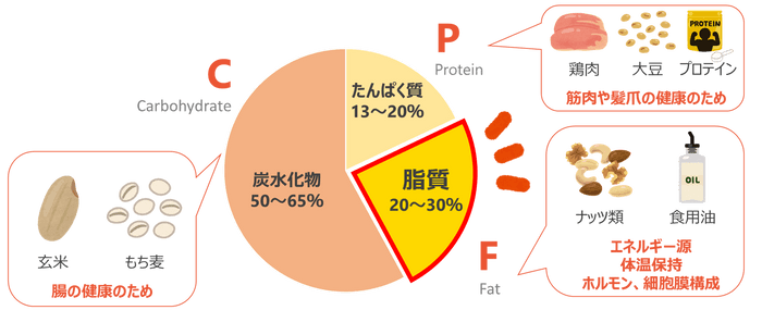 ダイエット中こそ押さえておきたい 「PFCバランス」 とは？