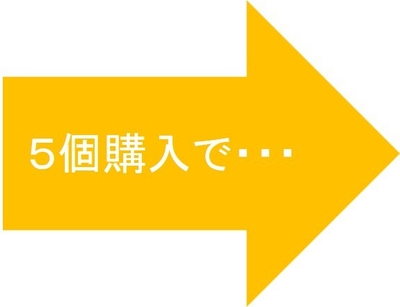 5個購入 イメージ