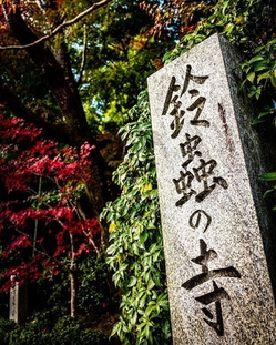 京都華厳寺 鈴虫寺(2)