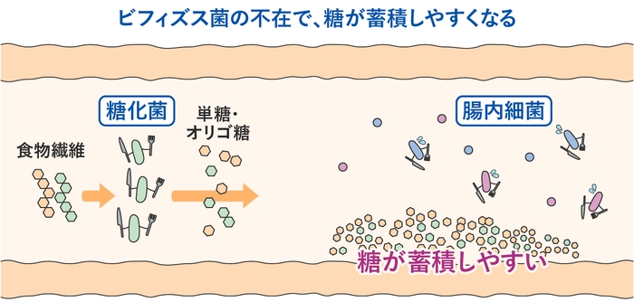 イメージ(5)
