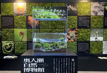 奥入瀬渓流の魅力を東京で体感　 「奥入瀬移動博物館」をモンベル御徒町店で開催