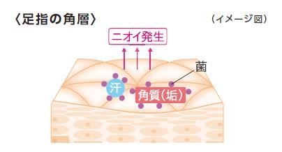 足特有のニオイ・ムレ発生のメカニズム