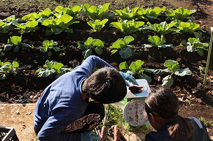 ジュニアビレッジ2