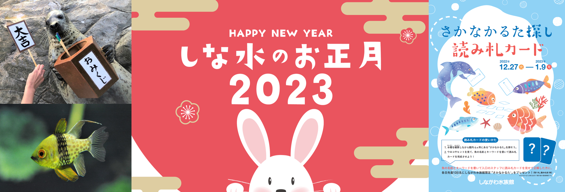 しながわ水族館にて12/27より「しな水のお正月2023」を開催！ ～今話題の“さかなかるた”×水族館 の初コラボイベント～