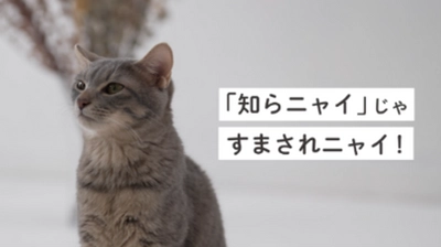 ～九都県市連携企画～　 事業者への「プラスチックごみの分別啓発」を共同で行います