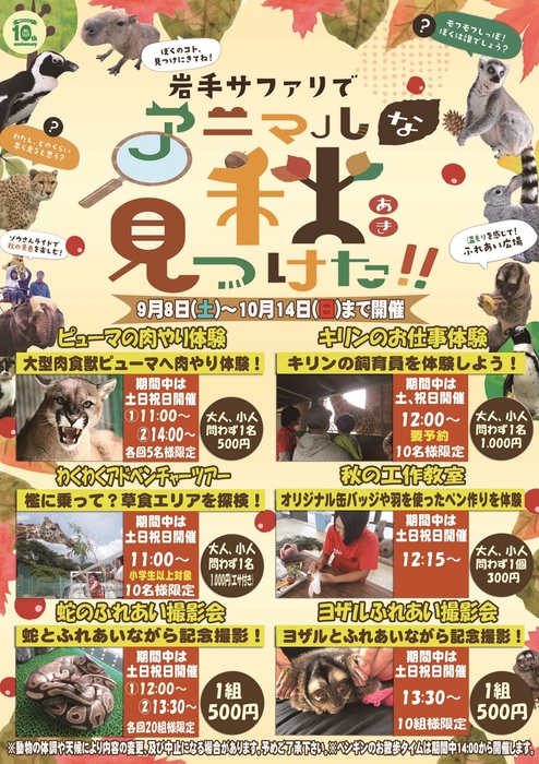 アニマルな秋見つけた!!イメージPOP