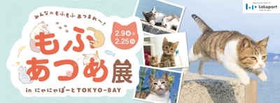 「もふあつめ展 in にゃにゃぽーとTOKYO-BAY」を2/9から開催　 一般公募の飼い猫写真展示や、POP-UPストアも実施