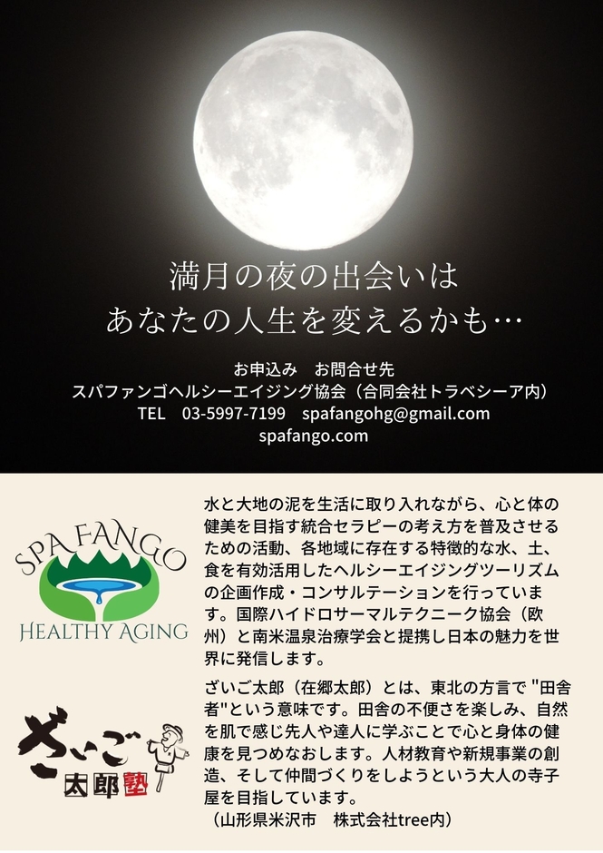 オーガナイザー詳細