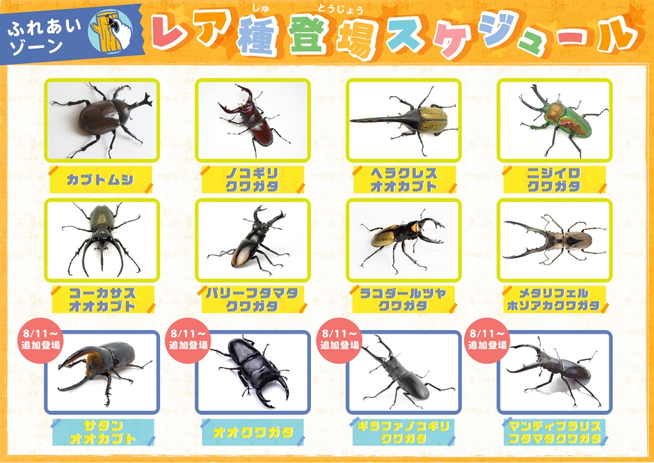 ふれあいゾーン レア種登場スケジュール