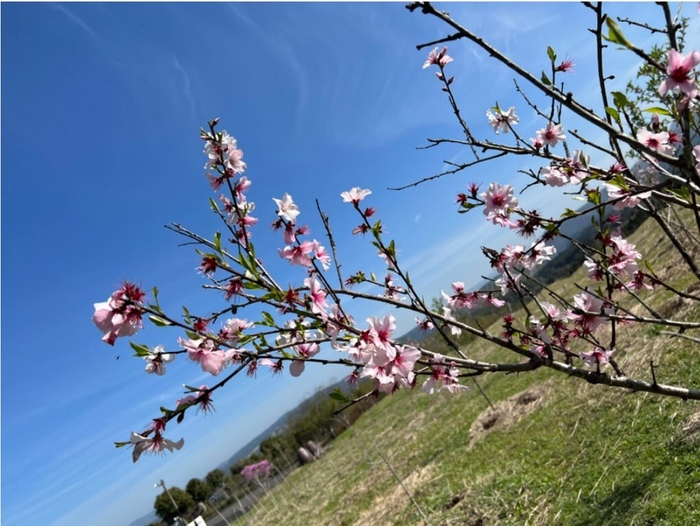 鹿児島県・湧水町