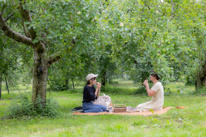 ピクニックランチを食べる