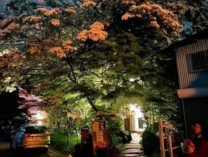 全国で2番目に大きいなんじゃもんじゃの木のあるアンニャモンニャ