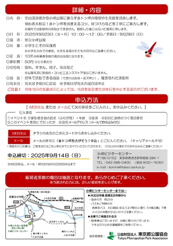 チラシ裏