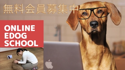 オンラインドッグスクールマッチング予約システム 「EDOG-SCHOOL」提供開始 ～おうちでドッグトレーニングいつでもどこでも～