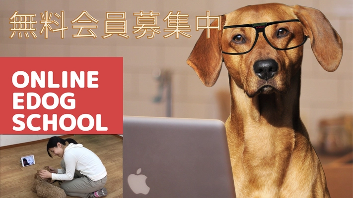 オンラインドッグスクールマッチング予約システム 「EDOG-SCHOOL」提供開始 ～おうちでドッグトレーニングいつでもどこでも～