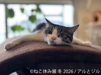展示作品:アルとジル