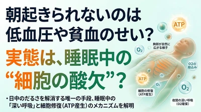 「朝起きられない・日中もだるい」原因は低血圧や貧血ではない？ 細胞修復を停滞させる睡眠中の換気量低下と、唯一の解決策である“呼吸の確保”を解明