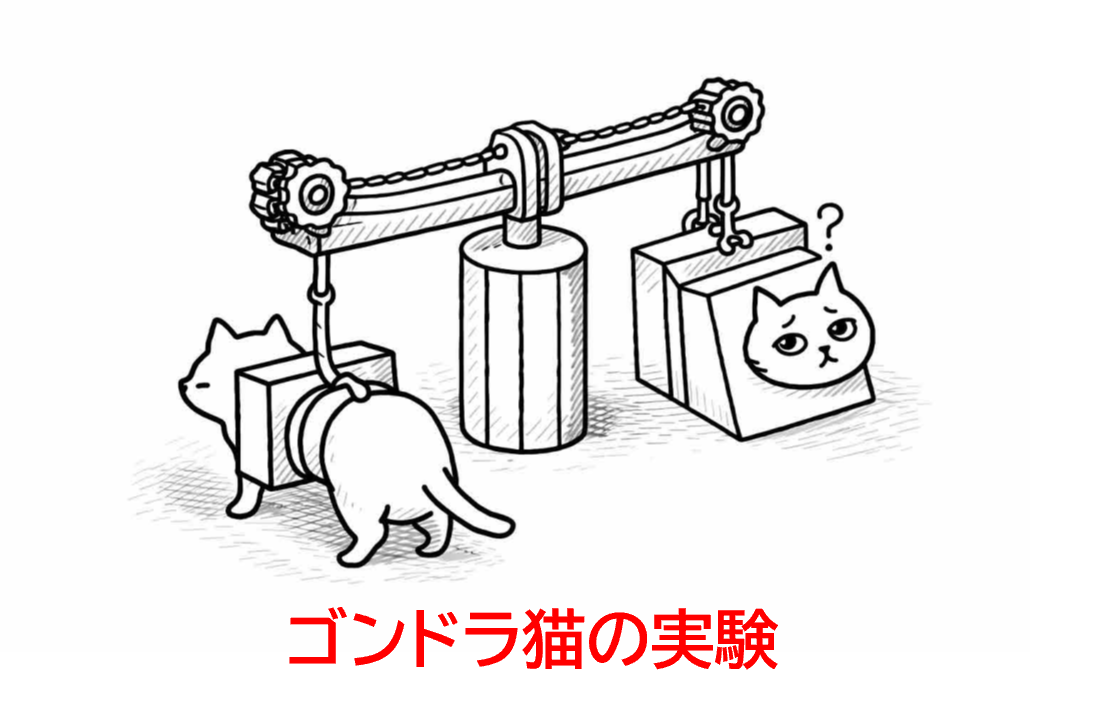ゴンドラ猫の実験