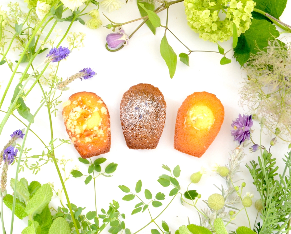 マドレーヌイメージ