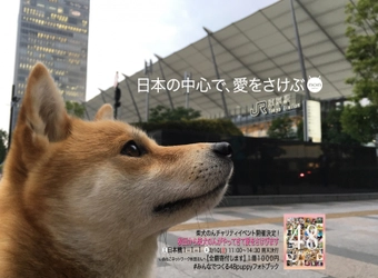 「柴犬のん」が動物の命を救う。 柴犬フォトブック販売チャリティイベントを しまうまプリントがサポート