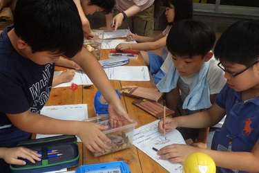 小学生が本物の自然の中で1年を通して水生生物を研究する 新プログラム『水生生物キッズ研究員』を募集