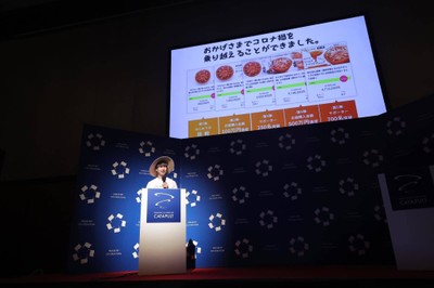 過去の挑戦