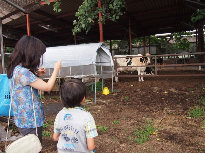 財団主催「茨城の牧場を訪ねるツアー」(2017年8月開催)より(2)
