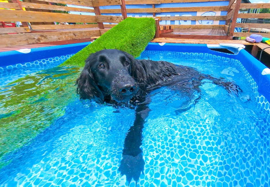 とっても気持ちよさそう