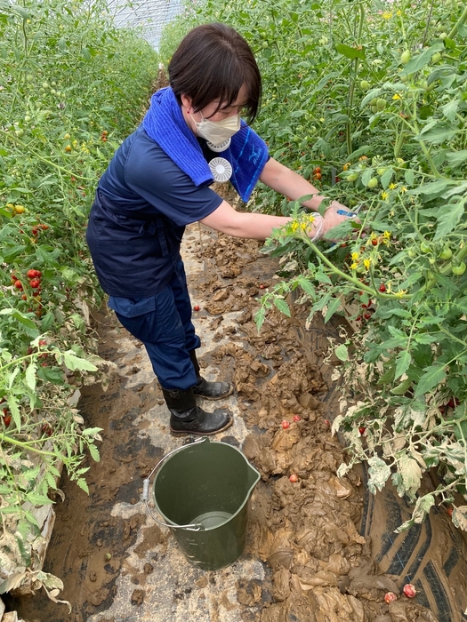 8. 新潟県村上市 ファイテック災害支援活動