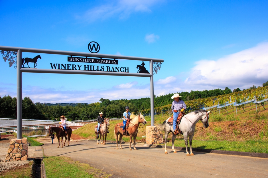 乗馬体験のできる牧場