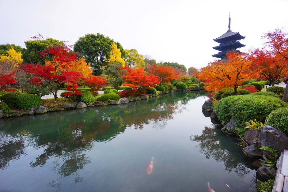東寺 イメージ