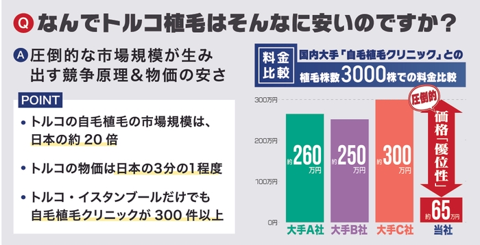 トルコ植毛が格安な理由