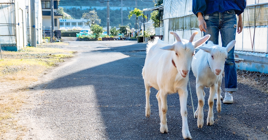 ライフシフトを始めてみよう