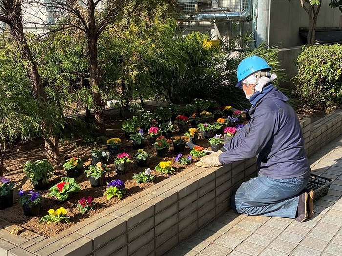 堆肥を公園花壇で活用