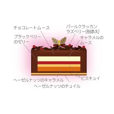 KIRIKABU 切り株断面図(イメージ)